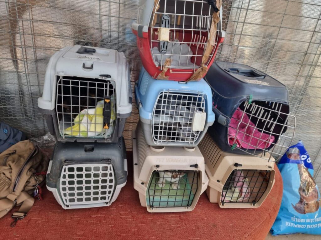 food-fairies-gallery-51